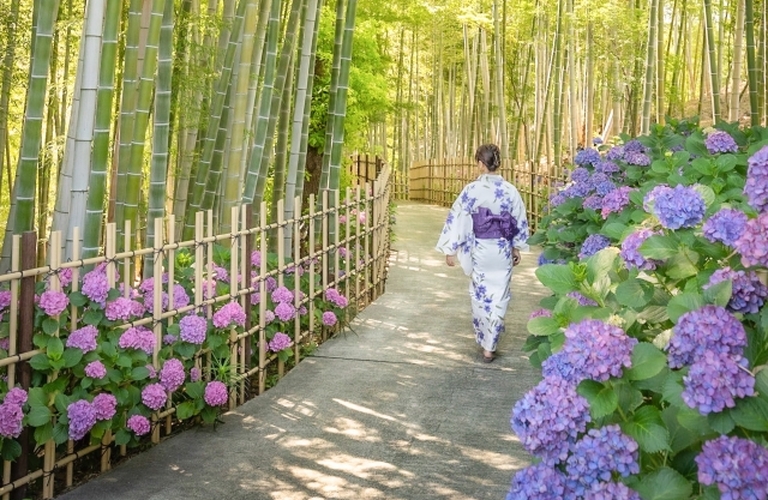 浴衣でお出かけなら｜横浜市blueforest